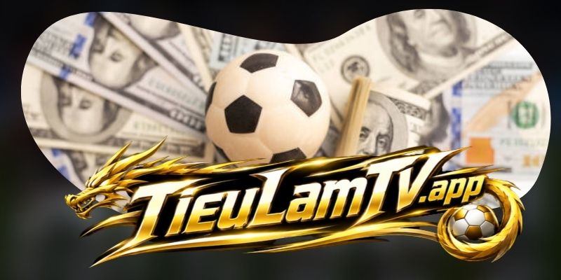 Nguyên tắc chung khi sử dụng Tieulamtv