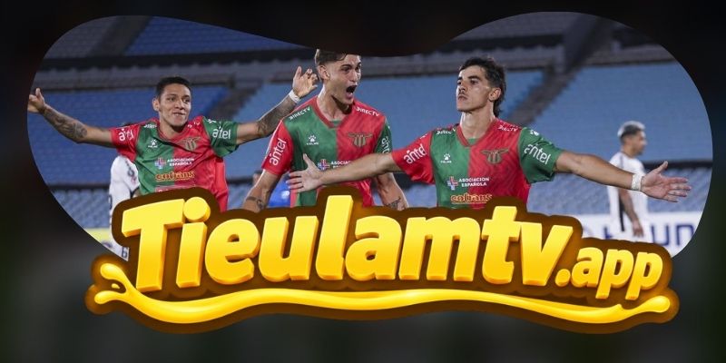 Gợi ý chốt kèo tổng hợp trận The New Saints vs Sabah Baku ngày 15/07